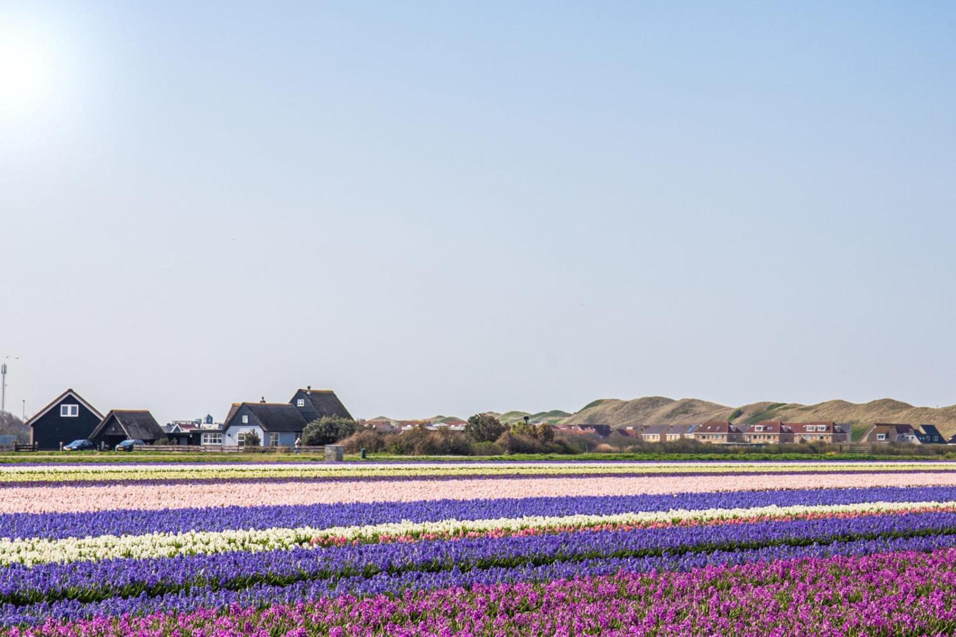 Beach Appartement 27 - Aan De Duinen, Callantsoog Aan Zee 외부 사진