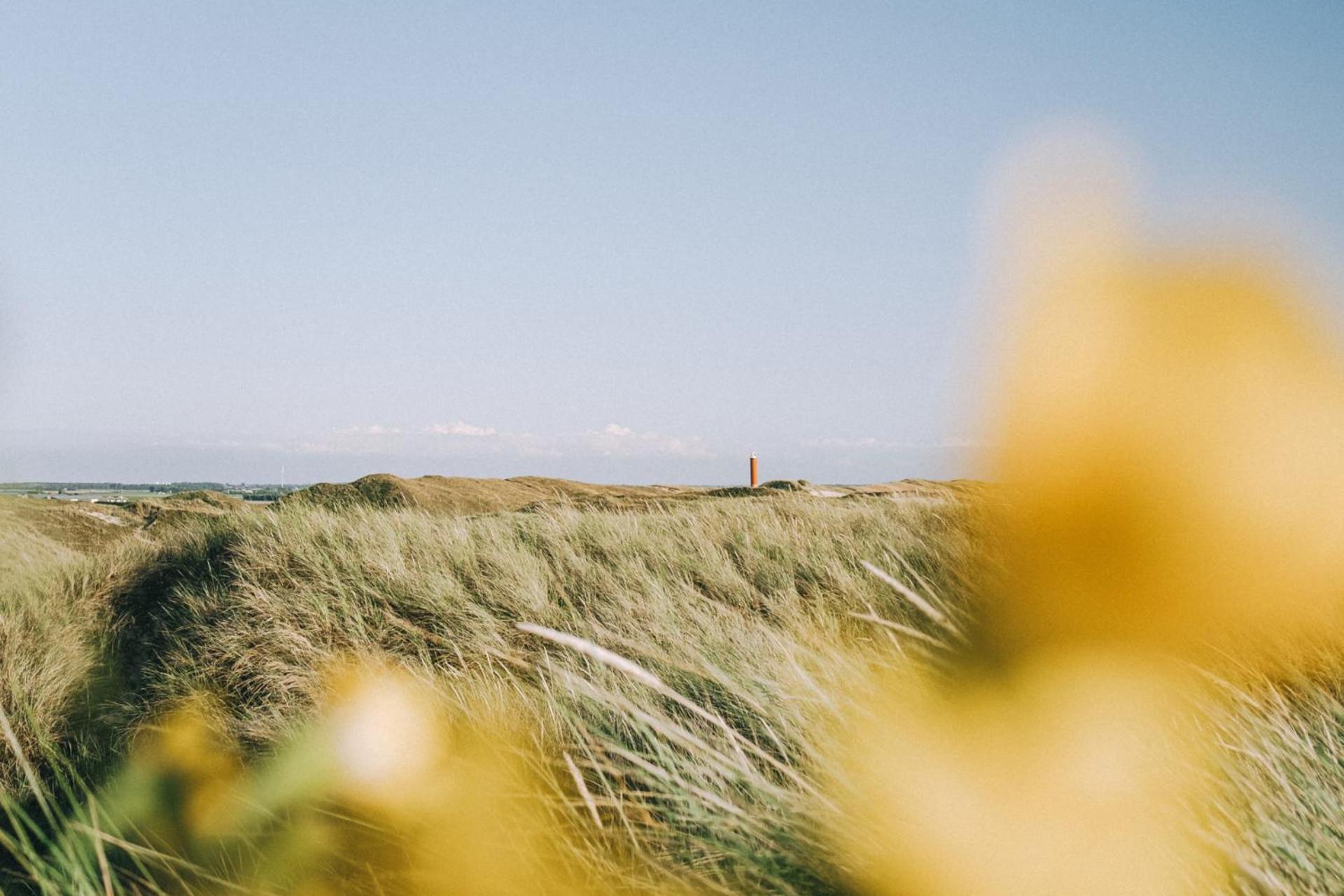 Beach Appartement 27 - Aan De Duinen, Callantsoog Aan Zee 외부 사진
